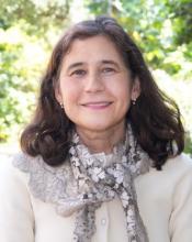 Hernandez-Kapila