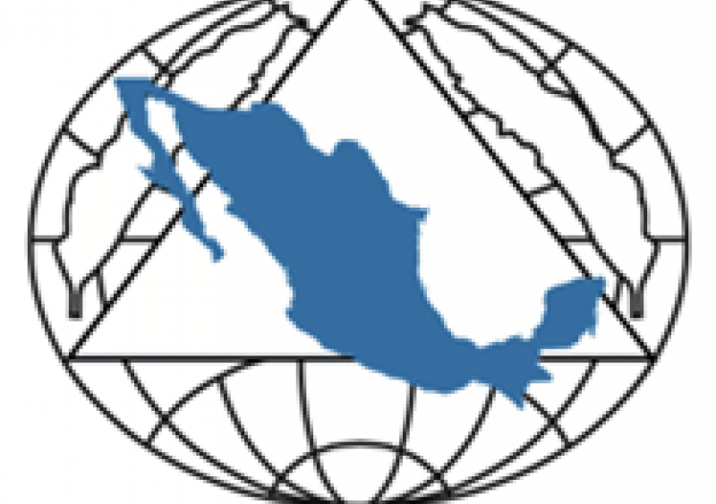 Mexican Divison Logo Icon