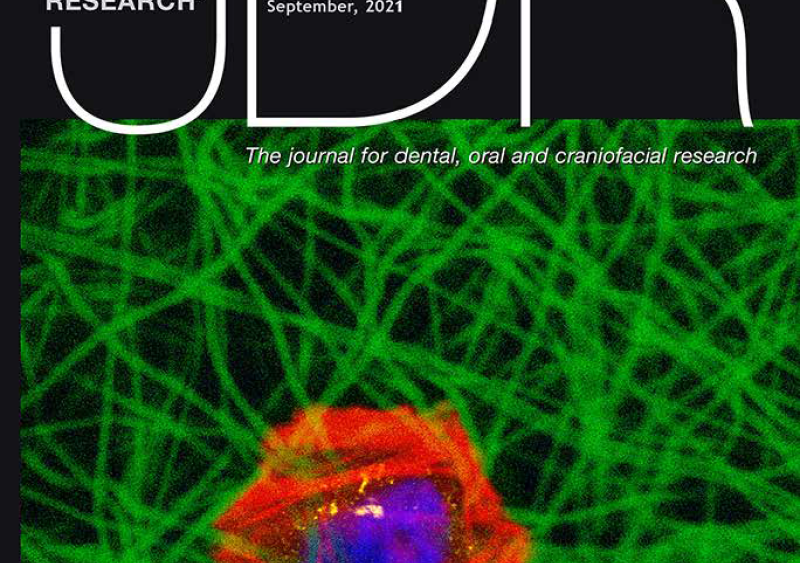 JDR Cover