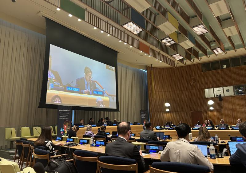 United Nations Multistakeholder Meeting