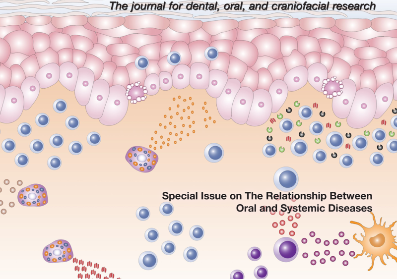 Special Issue JDR 2025