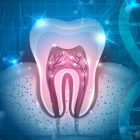 Stem cells in dental research image graphic. 