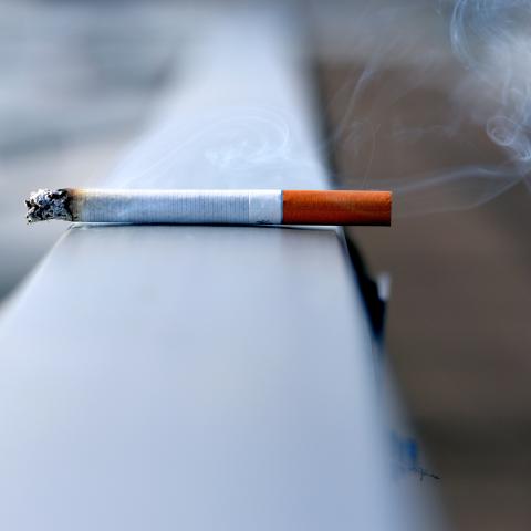 Tobacco