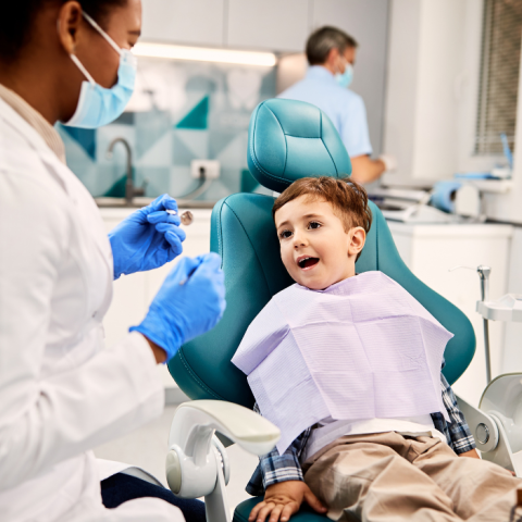 noma research stock image