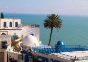 Tunisia 
