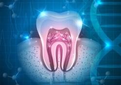 Stem cells in dental research image graphic. 